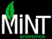 Mint Accesorios